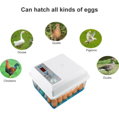 Инкубатор для яиц, полностью автоматический инкубатор, инкубатор для яиц, курица, гусь, птица, перепелка, индейка, утка, домашняя птица, цыпленок, инкубатор
