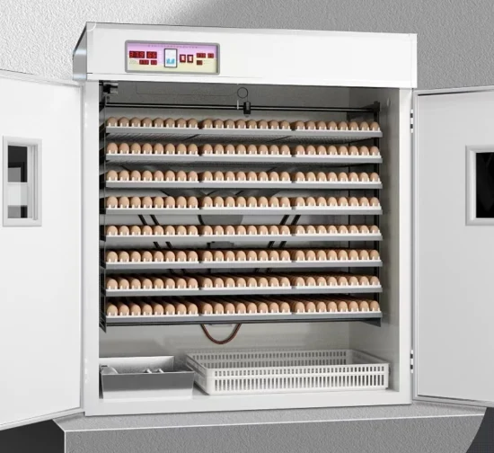 Оборудование для птицеводства Мини-инкубатор для небольших яиц, Инкубатор малой емкости